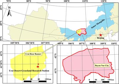 Increasing Precipitation Interval Has More Impacts on Litter Mass Loss Than Decreasing Precipitation Amount in Desert Steppe